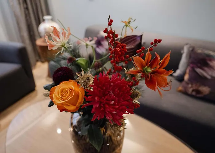 سويس أمستردام